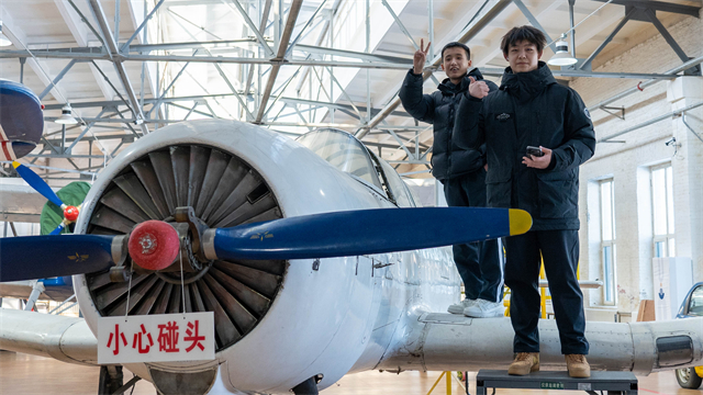 /ueditor/image/20260311/1773191446294814/1db26f0d4c0411d2117b28142b52e70e.jpg 12.jpg