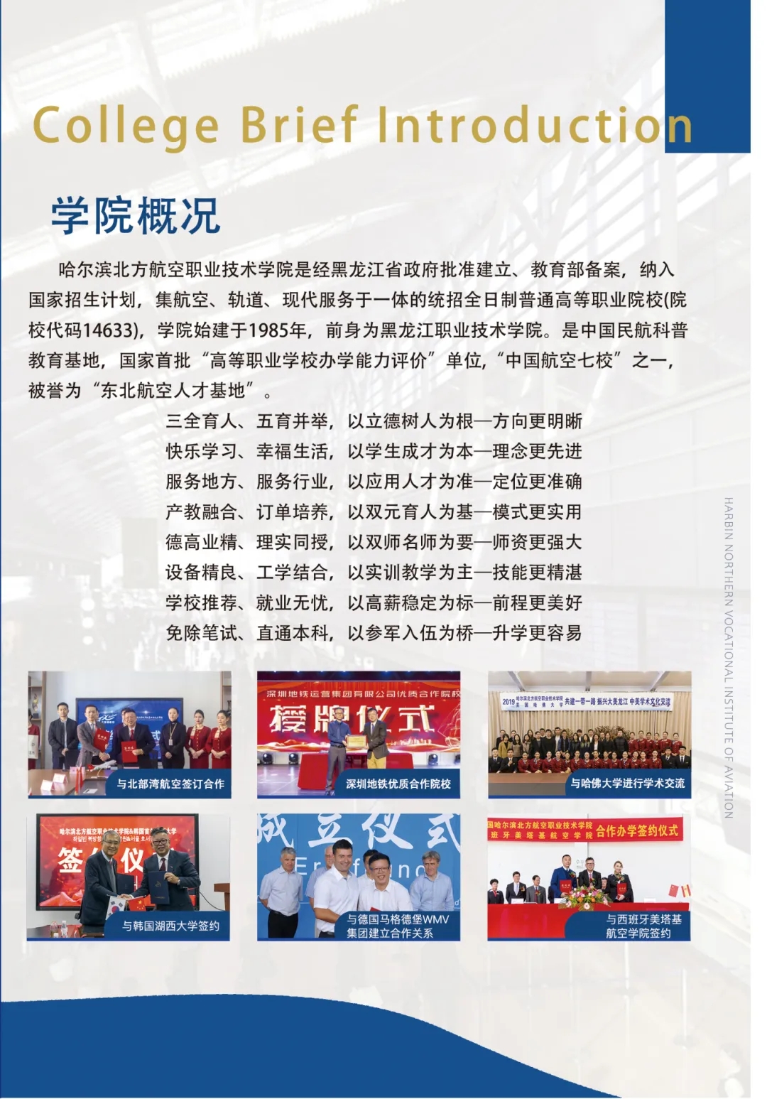 mmexport1782445300899.jpg